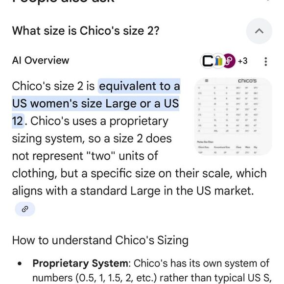 Chico's Rich Brown Trousers - Picture 6 of 6